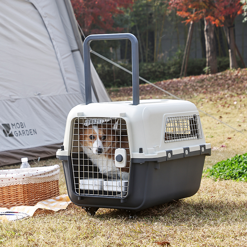 IATA Compliant Professional Pet Airline Travel Crate