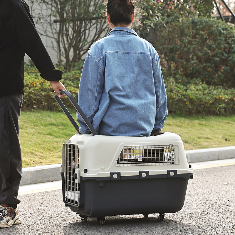 IATA Compliant Professional Pet Airline Travel Crate