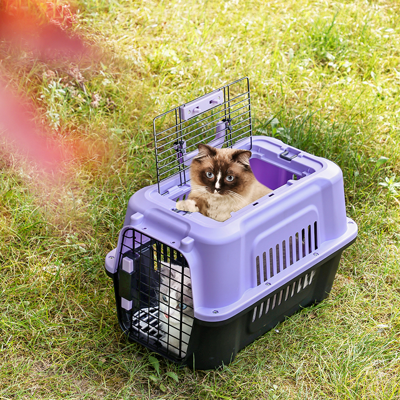 Large Pet Carrier with Top Hatch & Removable Bowls