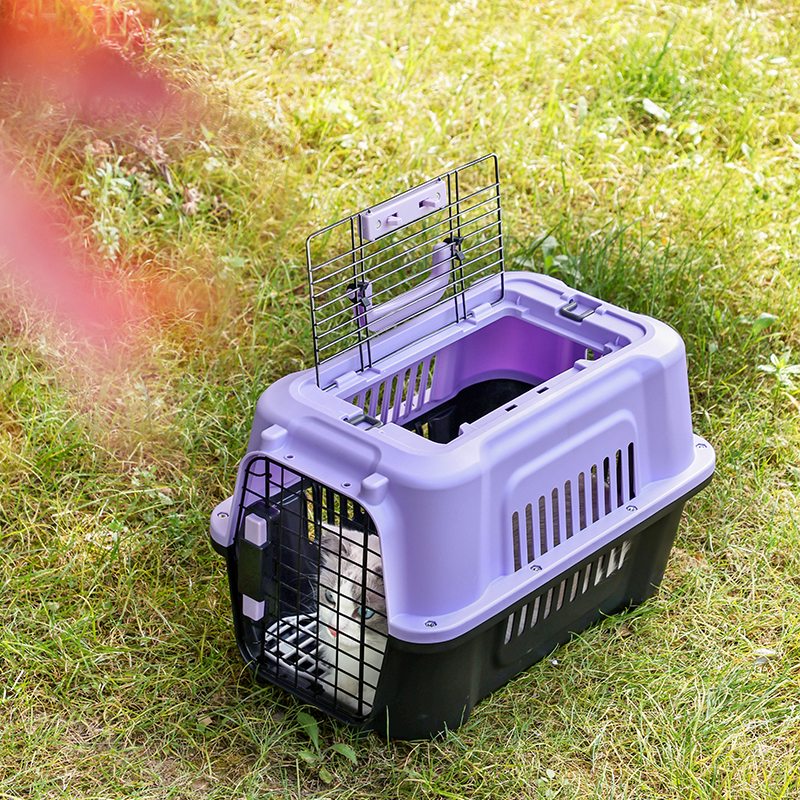 Large Pet Carrier with Top Hatch & Removable Bowls