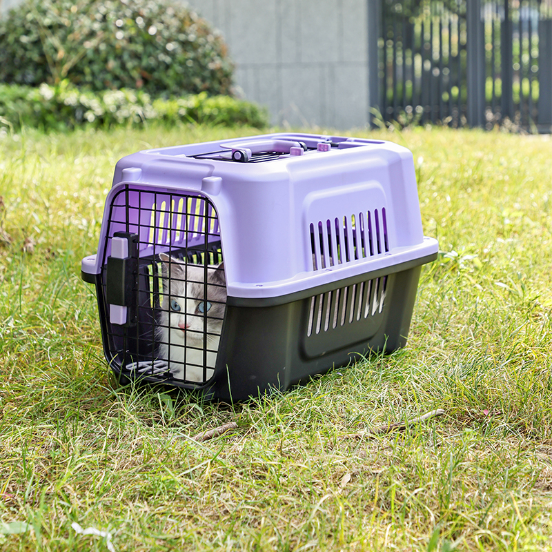 Large Pet Carrier with Top Hatch & Removable Bowls