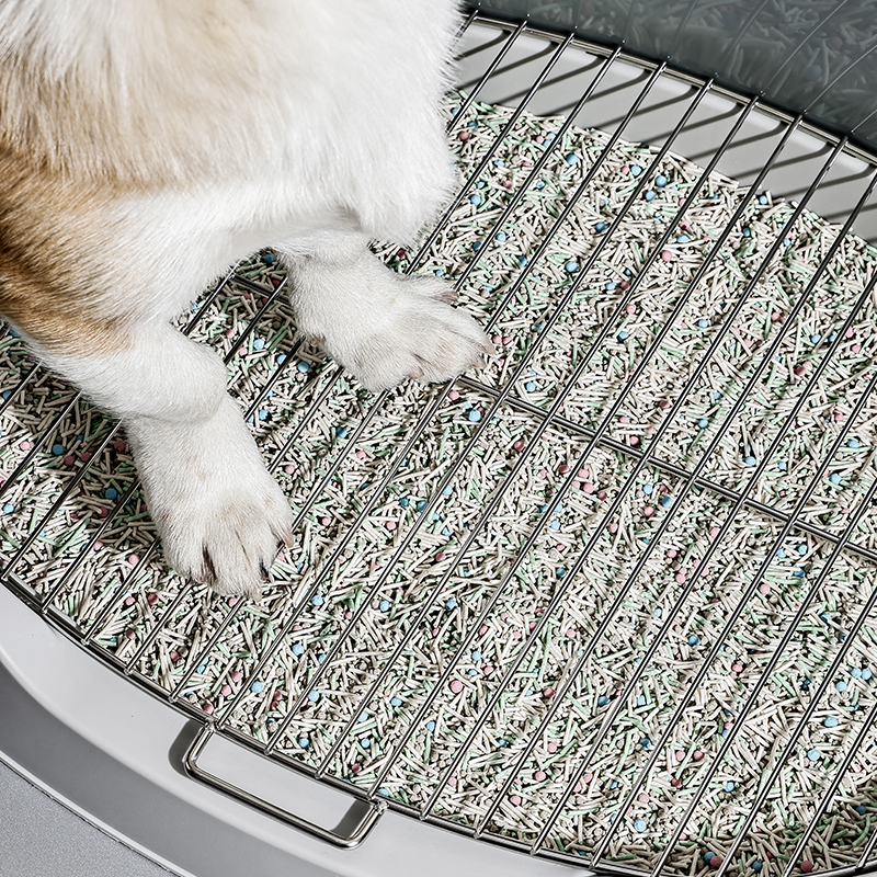 Stainless Steel Dog Toilet with Splash Guard