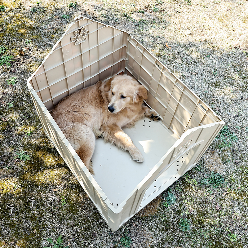 Large Weatherproof Outdoor Dog House