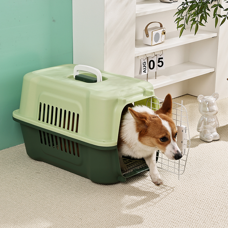 Durable Pet Carrier with Sturdy Plastic & Metal Doors