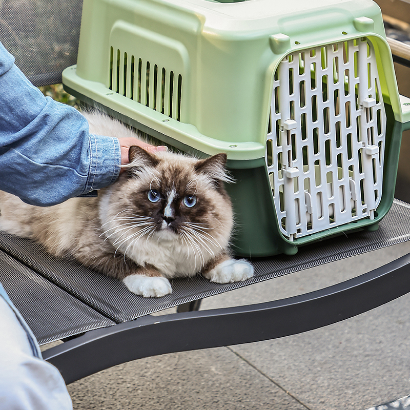 Durable Pet Carrier with Sturdy Plastic & Metal Doors