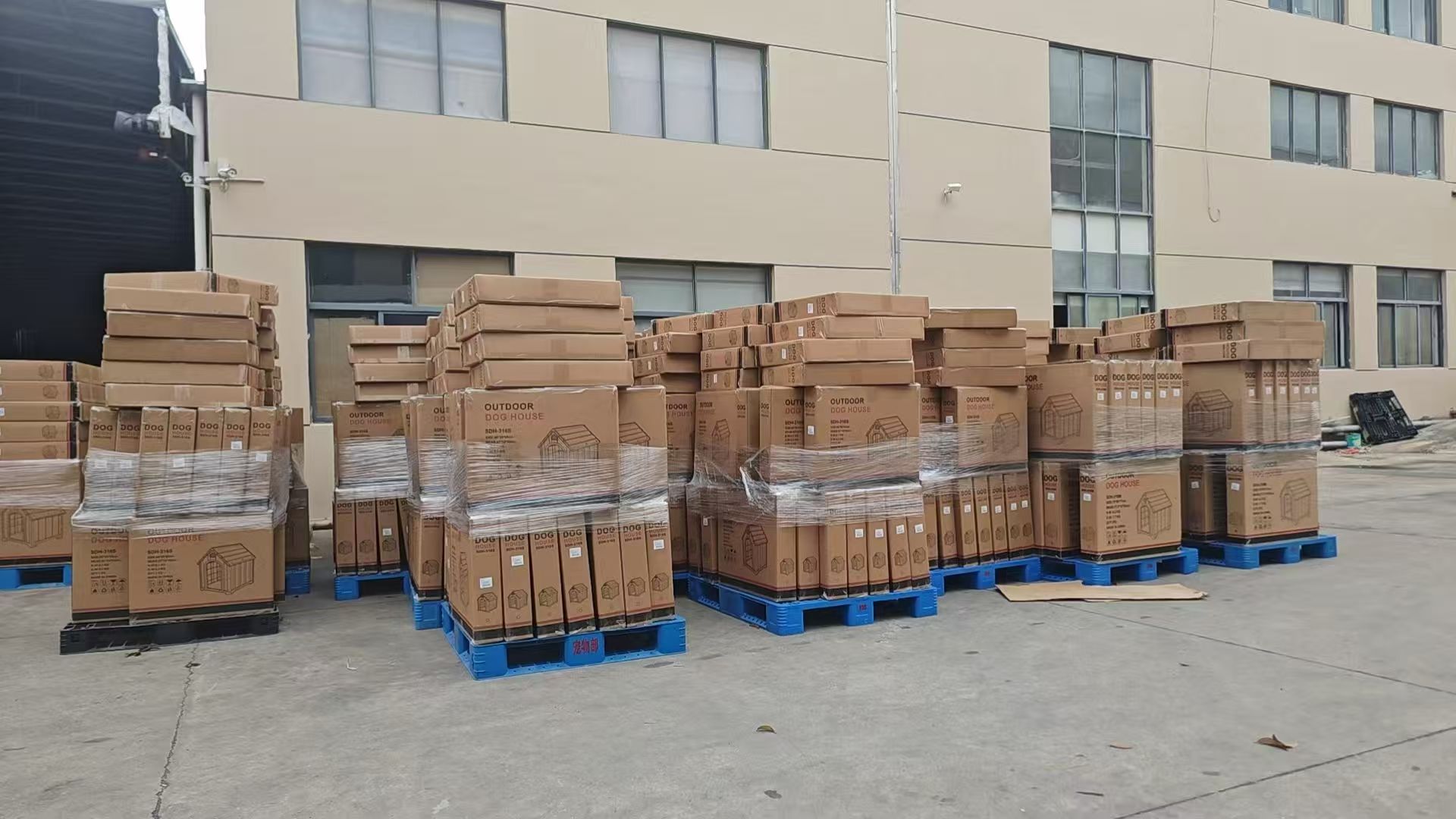 Outdoor dog house cartons stacked and stretch-wrapped on pallets outside the Sanding factory before dispatch.